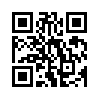 КулЛиб QR: The mystery of noise in the attic (fb2)