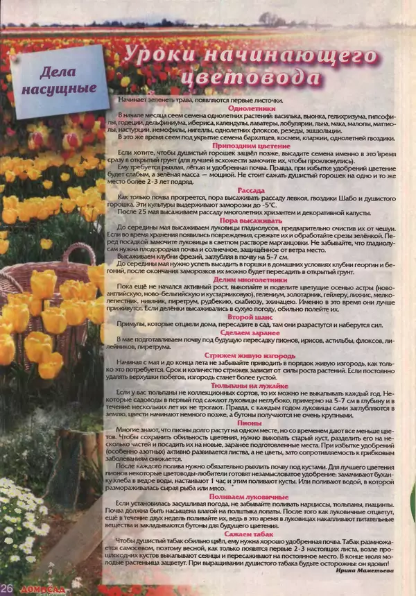 КулЛиб.   журнал Дом и сад для души - Дом и сад для души 2011 №04(40). Страница № 25