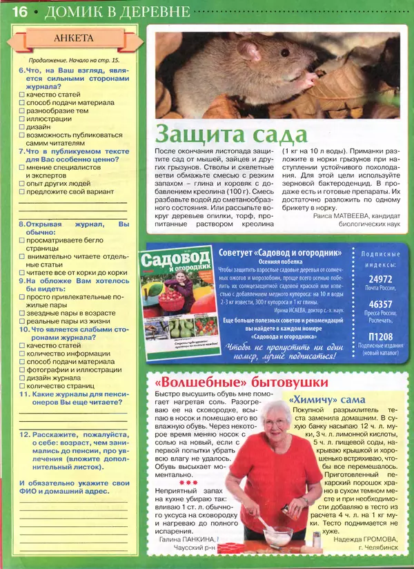 КулЛиб.   журнал Сваты на пенсии - Сваты на пенсии 2015 №10(13). Страница № 16