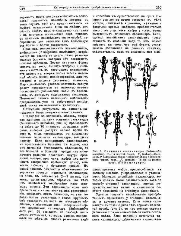 КулЛиб.   журнал Природа - Природа 1912 №02. Страница № 55
