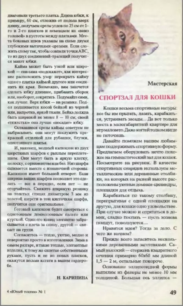 КулЛиб.   Журнал «Юный техник» - Юный техник, 1995 №01. Страница № 51
