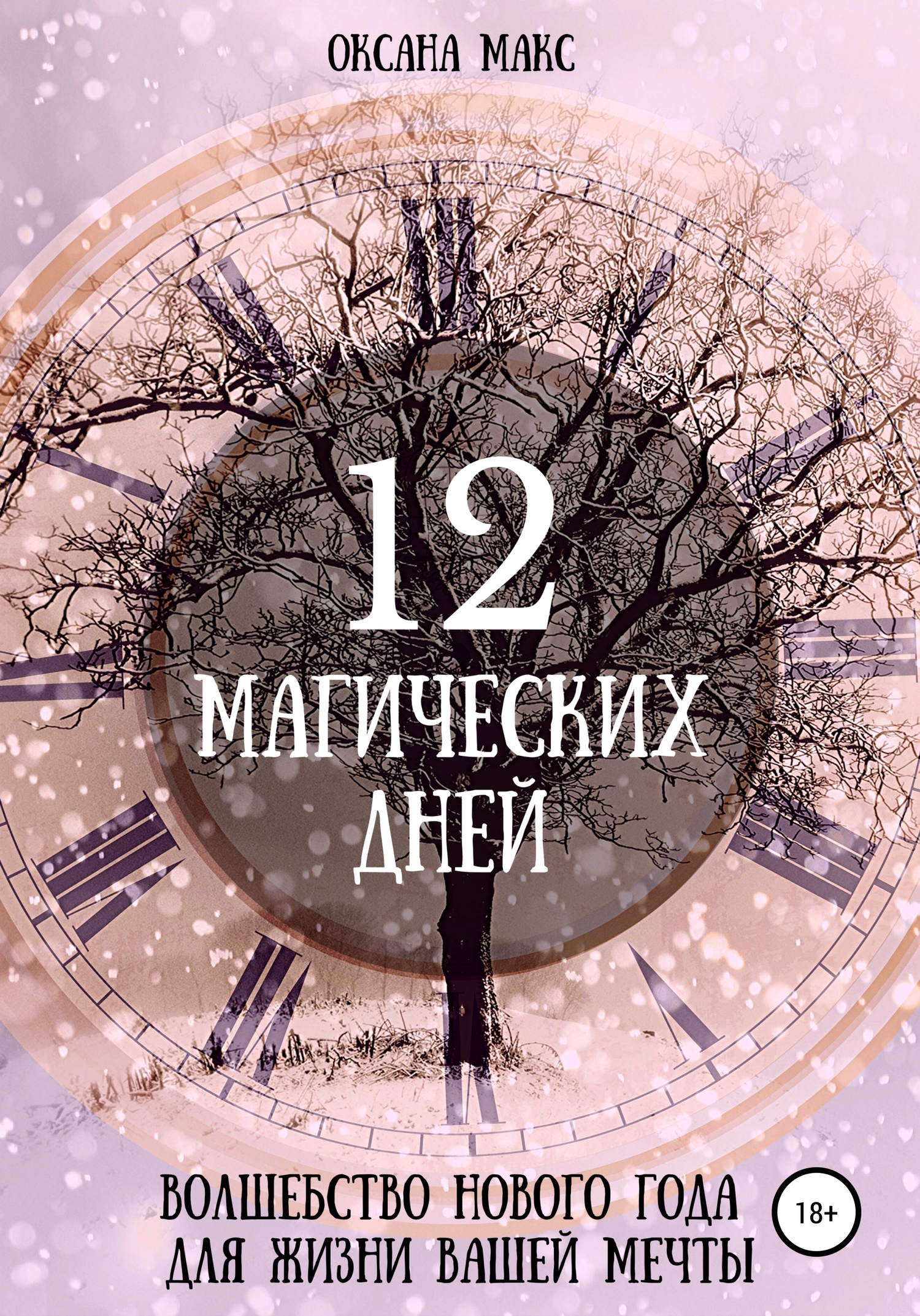 12 магических дней. Волшебство Нового года для жизни вашей мечты (fb2)