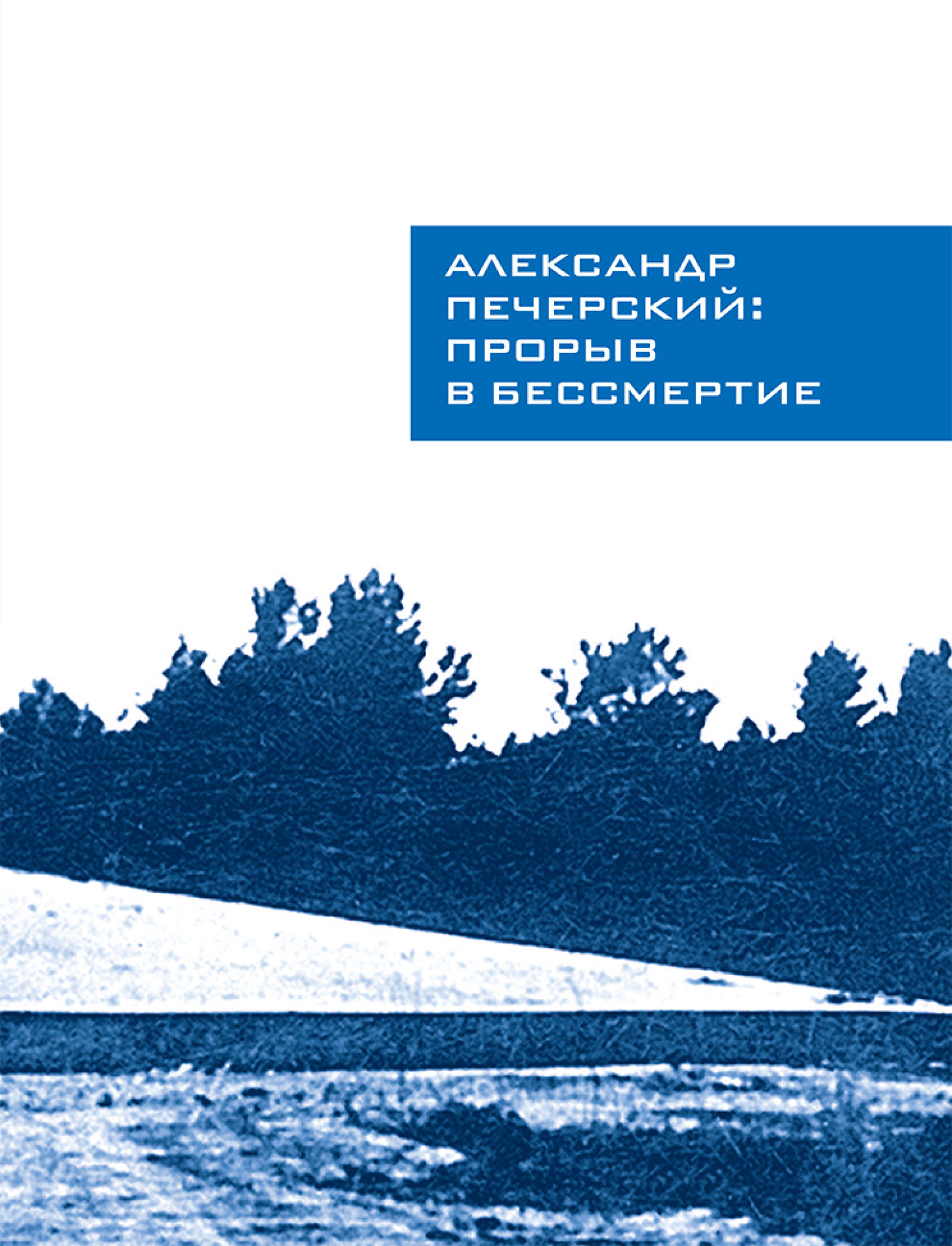 Александр Печерский: Прорыв в бессмертие (fb2)