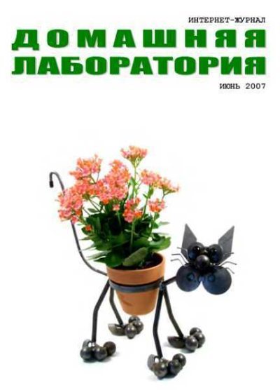 Интернет-журнал "Домашняя лаборатория", 2007 №6 (fb2)