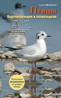 Птицы. Водоплавающие и околоводные (pdf)