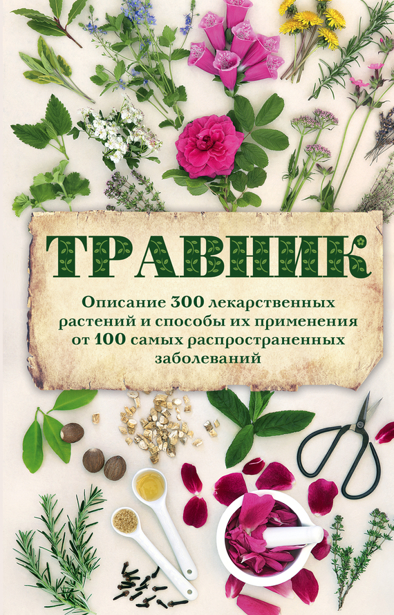 Травник. Описание 300 лекарственных растений и способы их применения от 100 самых распространенных заболеваний (fb2)