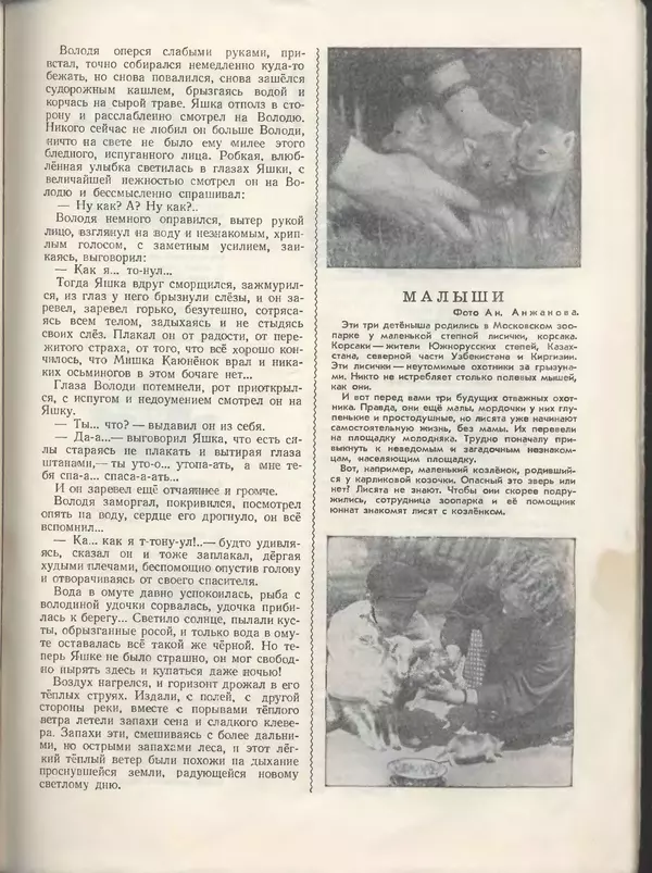 КулЛиб.   Журнал «Пионер» - Пионер, 1955 № 08. Страница № 49