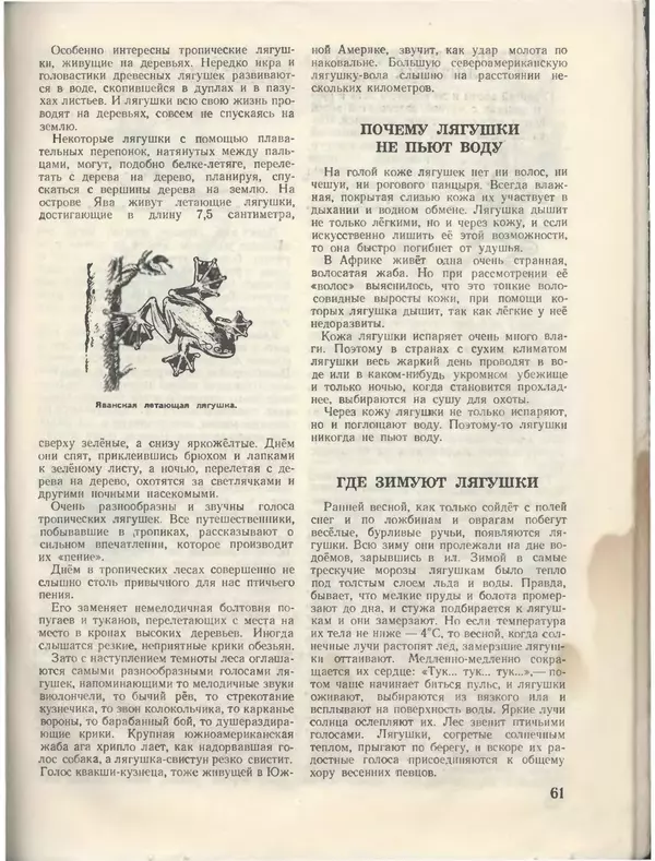 КулЛиб.   Журнал «Пионер» - Пионер, 1955 № 08. Страница № 67