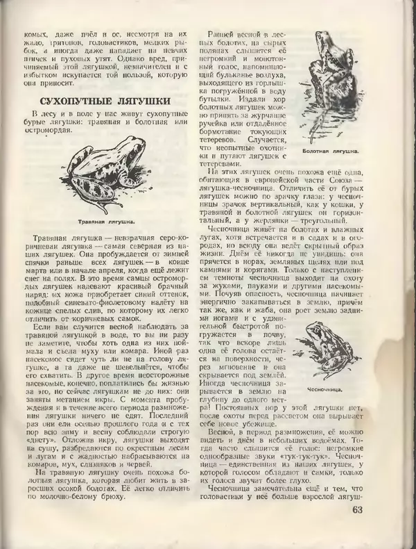 КулЛиб.   Журнал «Пионер» - Пионер, 1955 № 08. Страница № 69