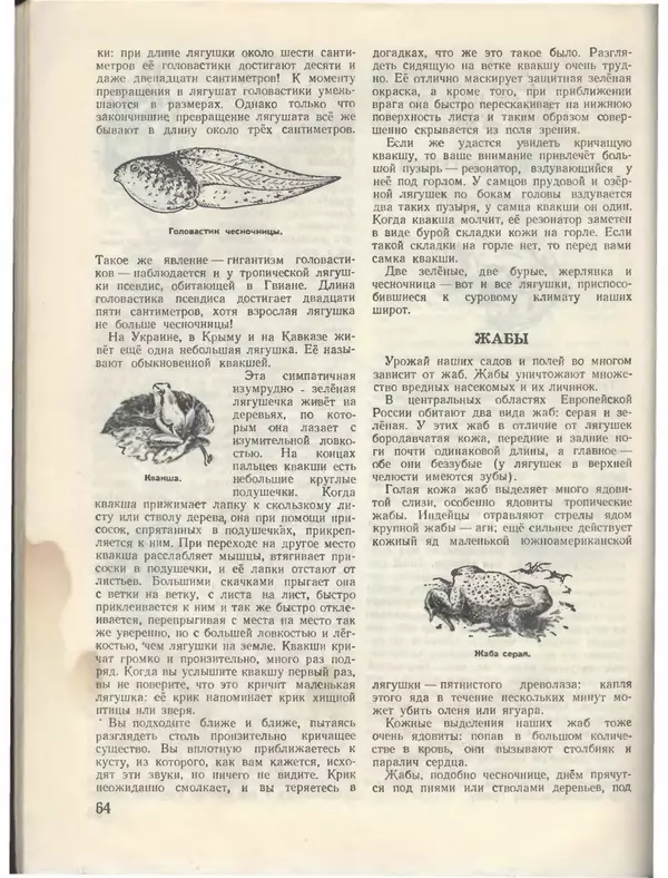 КулЛиб.   Журнал «Пионер» - Пионер, 1955 № 08. Страница № 70