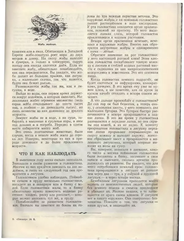 КулЛиб.   Журнал «Пионер» - Пионер, 1955 № 08. Страница № 71