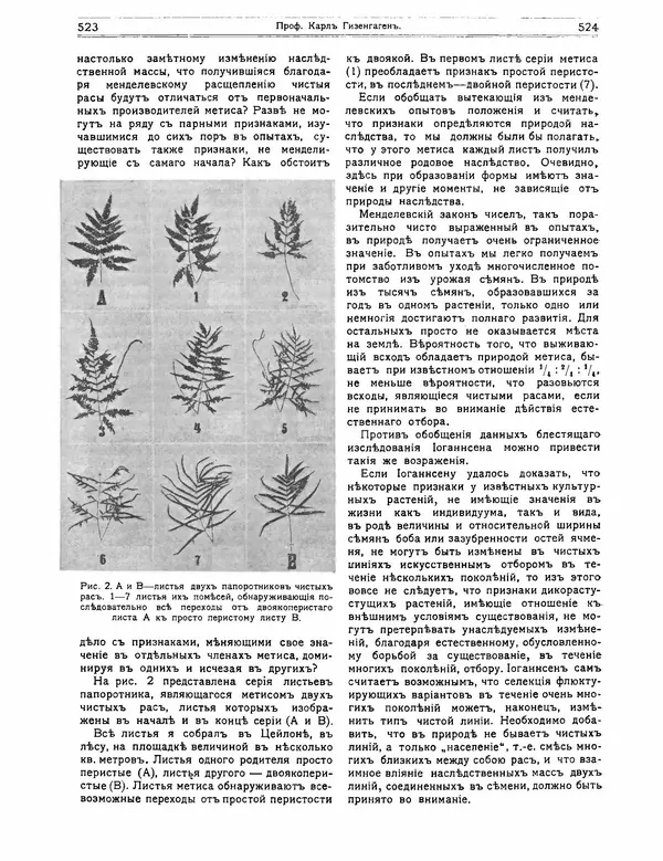 КулЛиб.   журнал Природа - Природа 1912 №04. Страница № 32