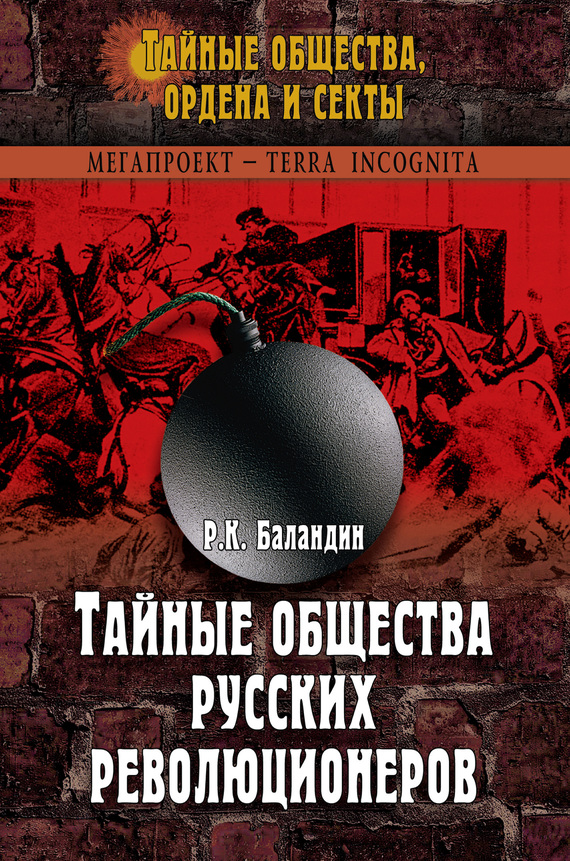 Тайные общества русских революционеров (fb2)