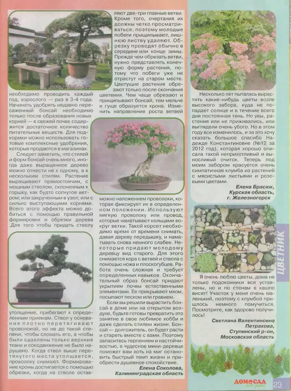 КулЛиб.   журнал Дом и сад для души - Дом и сад для души 2013 №12(72). Страница № 23