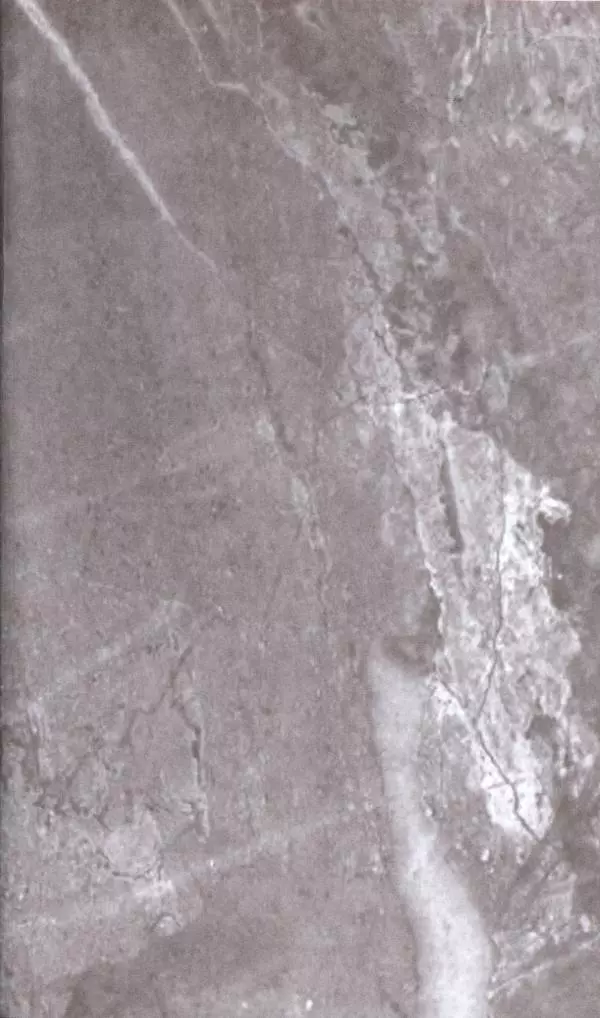 Илья Paдожицкий - Пoxодные записки артиллериста 1812-1816 - Страница № 797