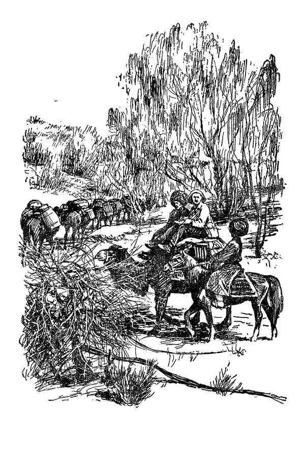 Дмитрий Щербаков - Мои путешествия: (Как я стал географом) - Страница № 114