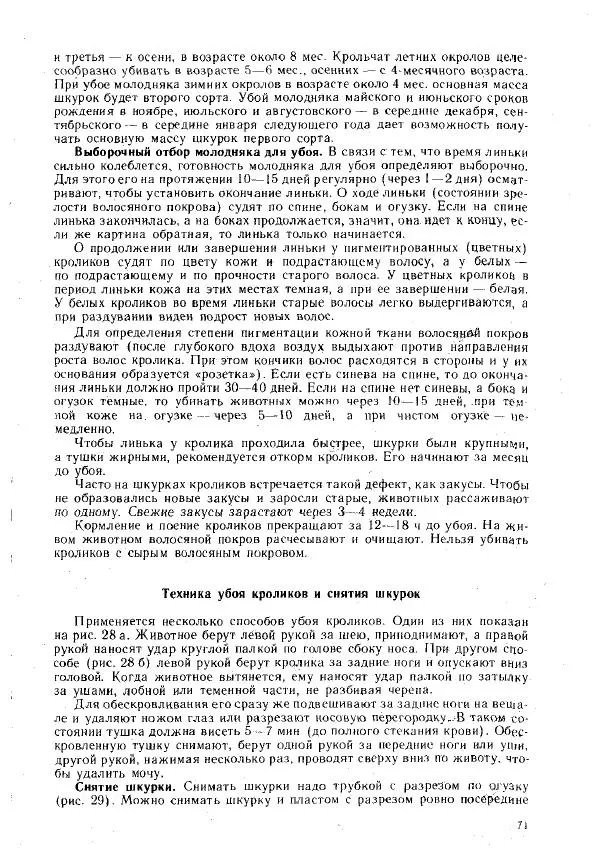 Г. Ционский - Любительское кролиководство и нутриеводство - Страница № 80
