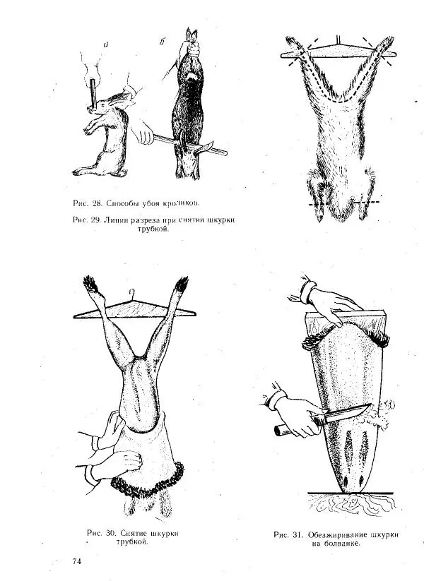 Г. Ционский - Любительское кролиководство и нутриеводство - Страница № 83