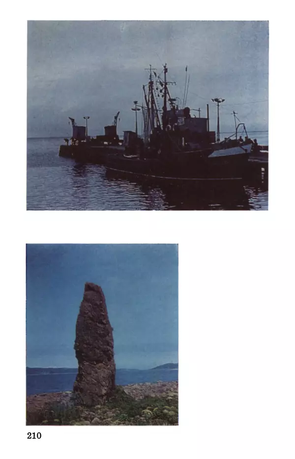 Святослав Сахарнов - Белые киты: Путешествия и приключения (Повести) - Страница № 215