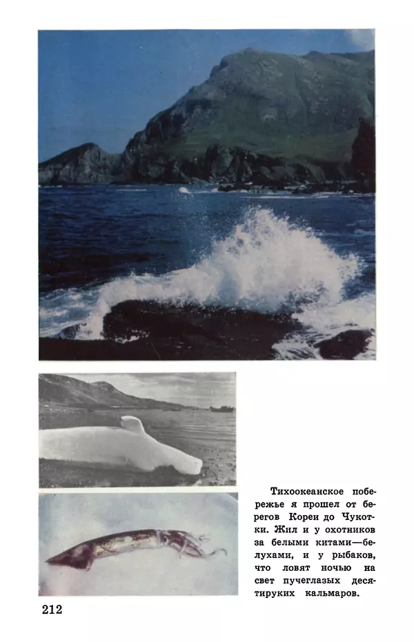 Святослав Сахарнов - Белые киты: Путешествия и приключения (Повести) - Страница № 217