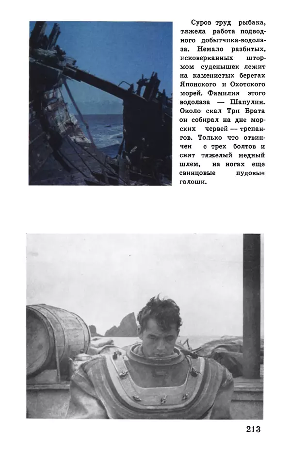 Святослав Сахарнов - Белые киты: Путешествия и приключения (Повести) - Страница № 218