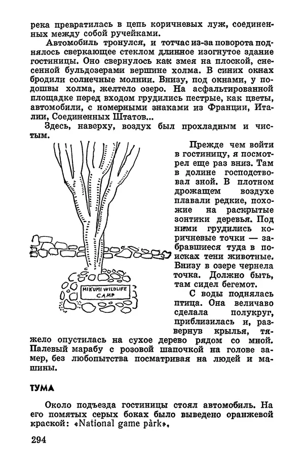 Святослав Сахарнов - Белые киты: Путешествия и приключения (Повести) - Страница № 299