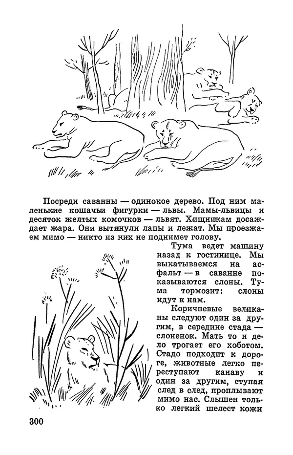 Святослав Сахарнов - Белые киты: Путешествия и приключения (Повести) - Страница № 305