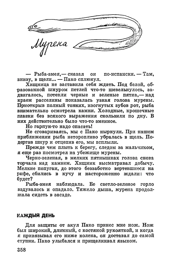 Святослав Сахарнов - Белые киты: Путешествия и приключения (Повести) - Страница № 363