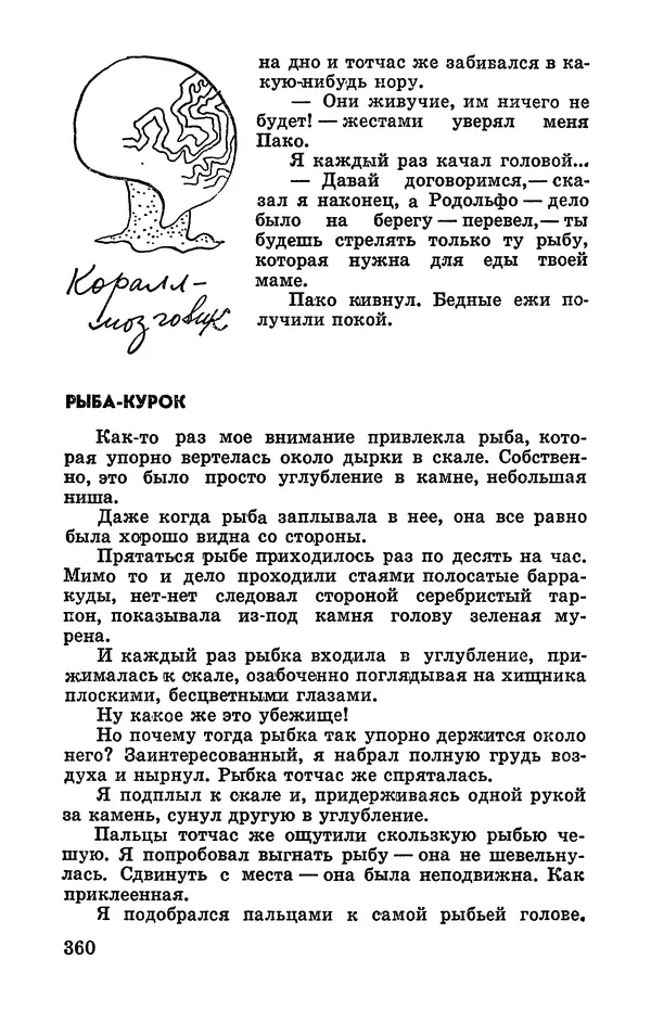 Святослав Сахарнов - Белые киты: Путешествия и приключения (Повести) - Страница № 365