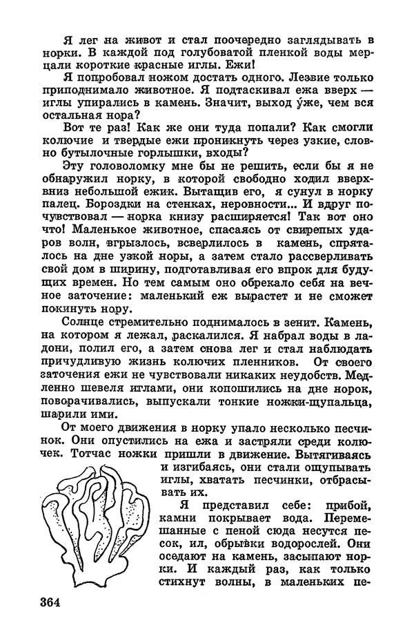Святослав Сахарнов - Белые киты: Путешествия и приключения (Повести) - Страница № 369