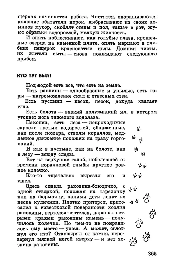 Святослав Сахарнов - Белые киты: Путешествия и приключения (Повести) - Страница № 370