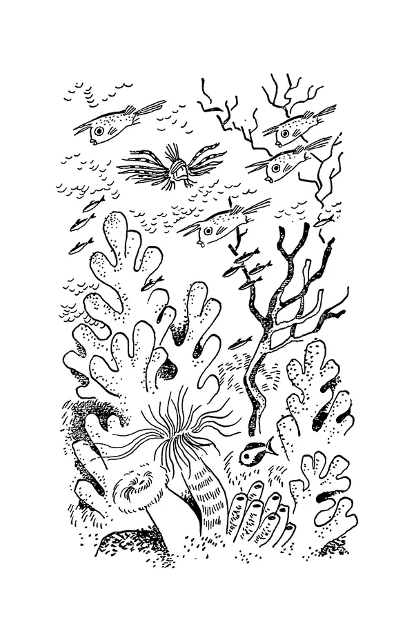 Святослав Сахарнов - Белые киты: Путешествия и приключения (Повести) - Страница № 385