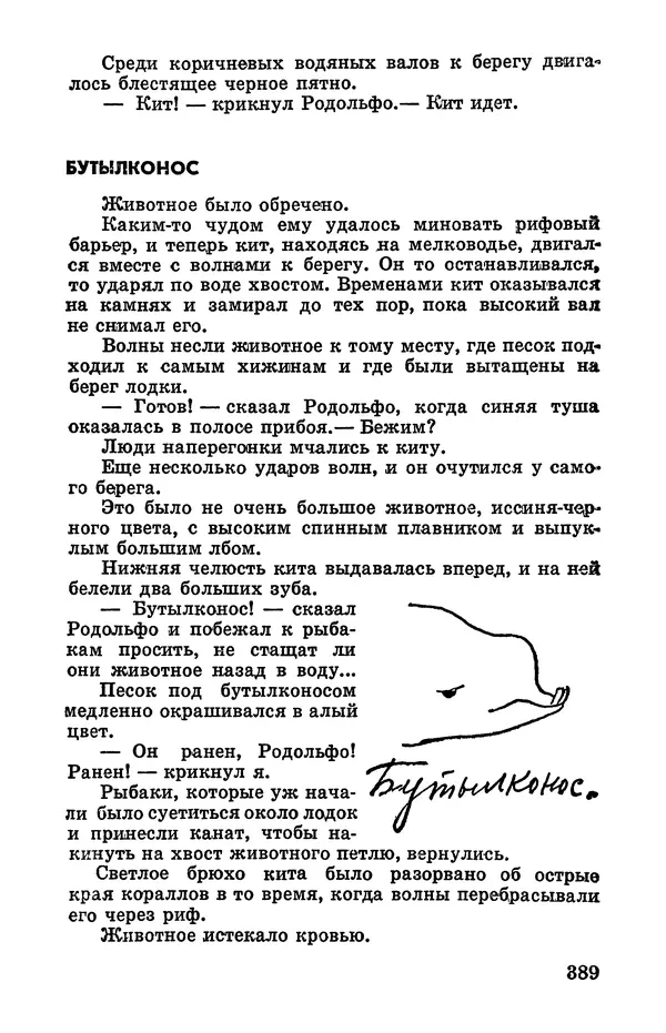 Святослав Сахарнов - Белые киты: Путешествия и приключения (Повести) - Страница № 394