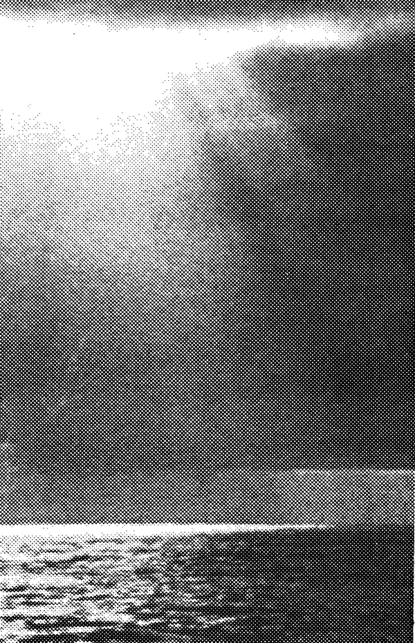 Святослав Сахарнов - Белые киты: Путешествия и приключения (Повести) - Страница № 4