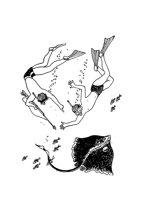 Святослав Сахарнов - Белые киты: Путешествия и приключения (Повести) - Страница № 64