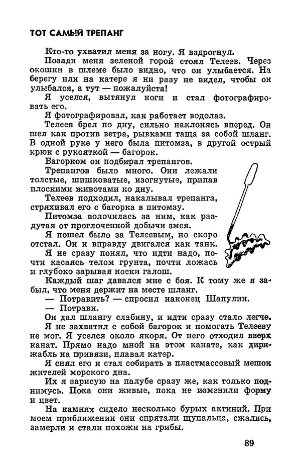 Святослав Сахарнов - Белые киты: Путешествия и приключения (Повести) - Страница № 94
