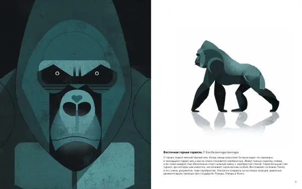 Дитер Браун - Животные Юга - Страница № 11