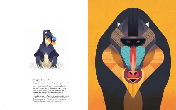 Дитер Браун - Животные Юга - Страница № 26