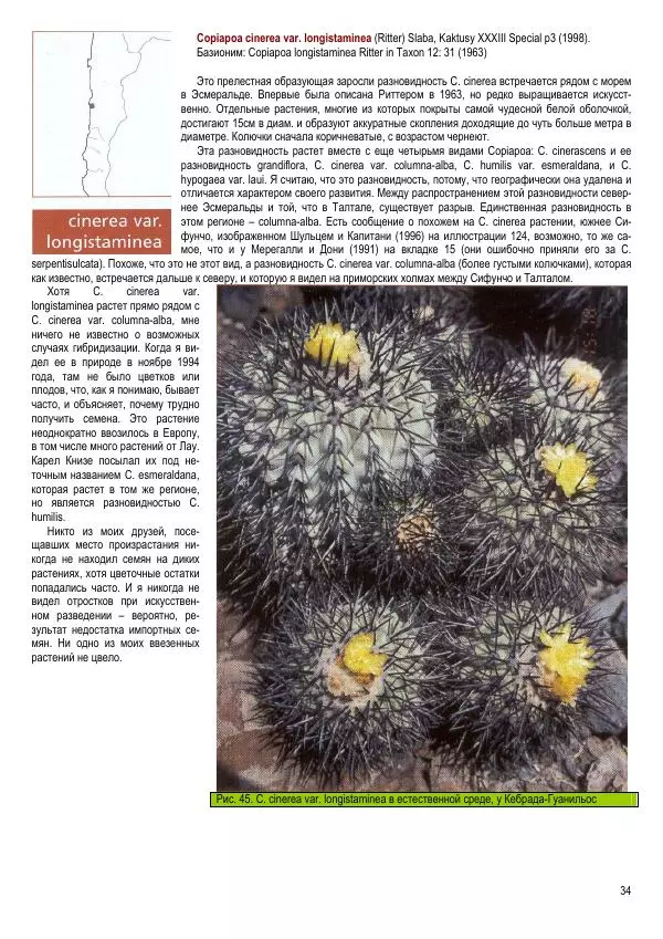 Грэм Чарльз - Копьяпоа — Copiapoa - Страница № 34