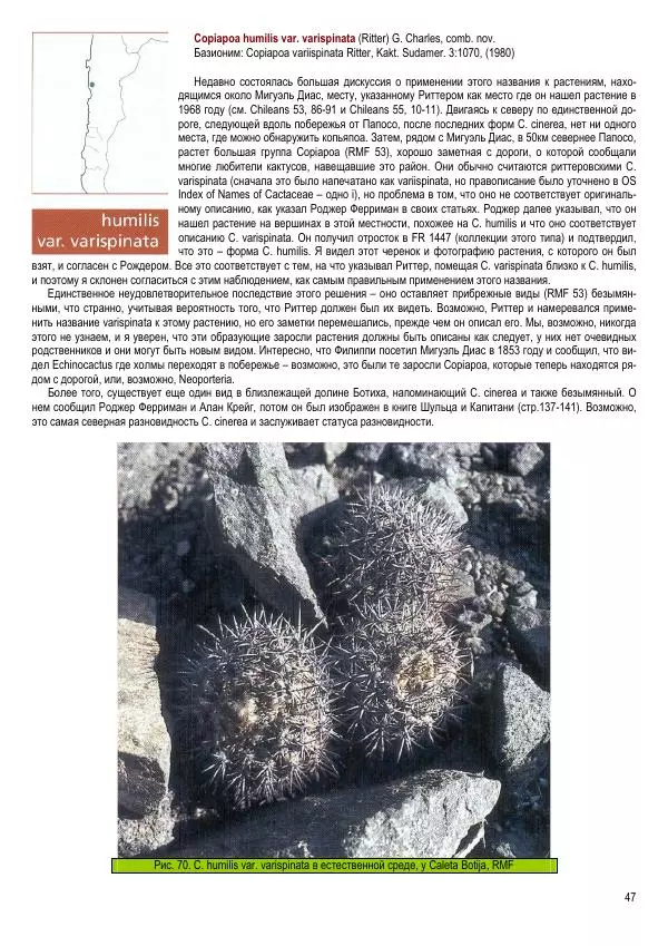 Грэм Чарльз - Копьяпоа — Copiapoa - Страница № 47