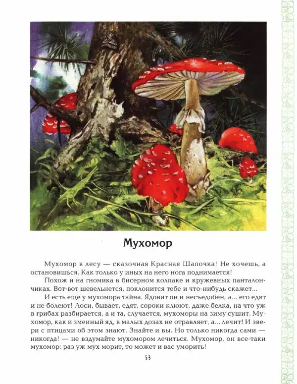 Николай Сладков - Азбука леса - Страница № 58