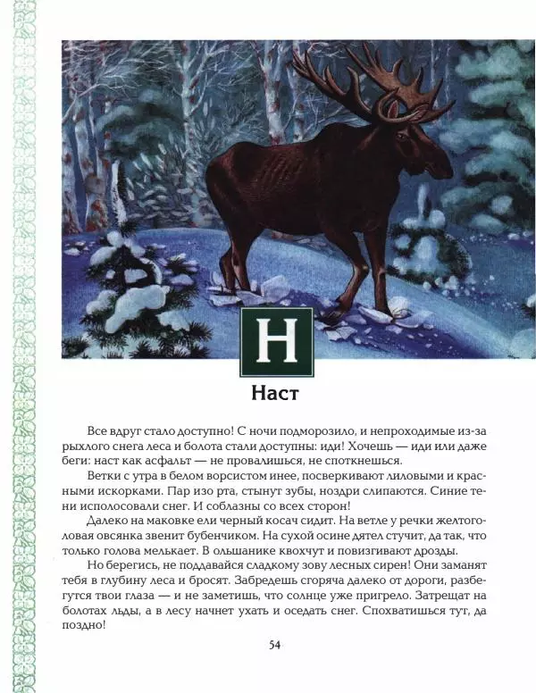 Николай Сладков - Азбука леса - Страница № 59