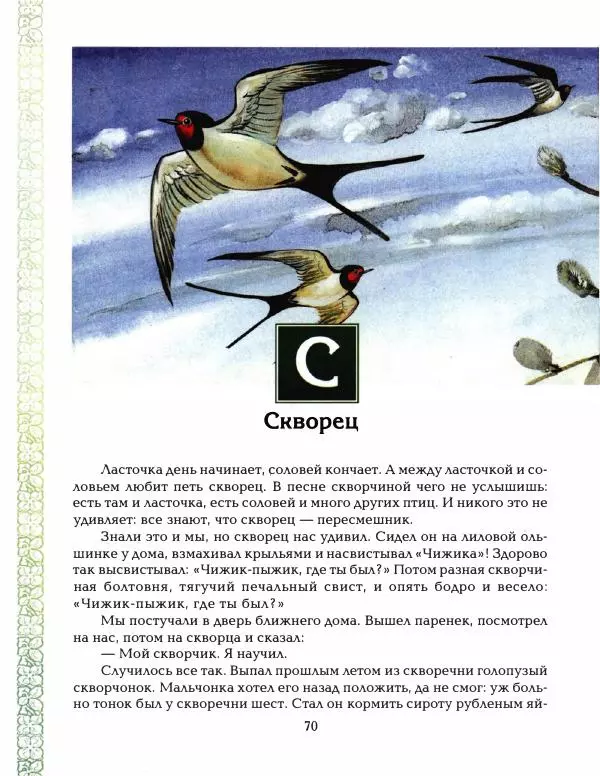 Николай Сладков - Азбука леса - Страница № 75