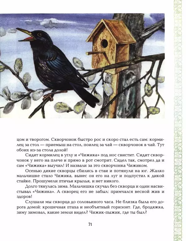 Николай Сладков - Азбука леса - Страница № 76