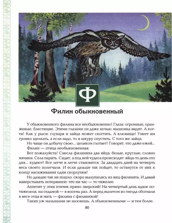 Николай Сладков - Азбука леса - Страница № 85