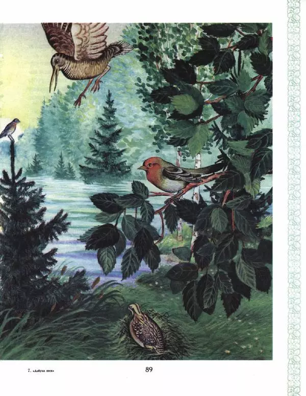 Николай Сладков - Азбука леса - Страница № 94