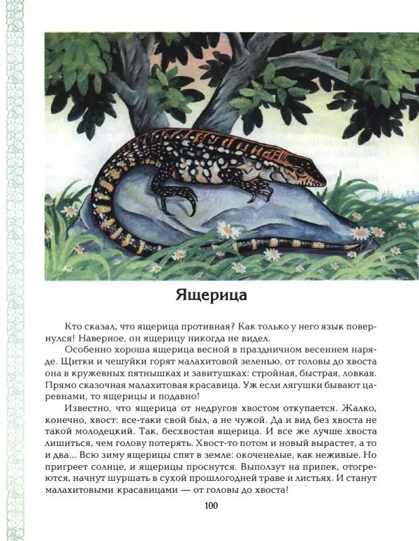 Николай Сладков - Азбука леса - Страница № 105
