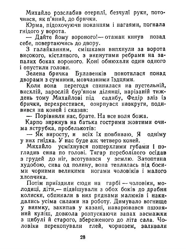 Анатолий Хорунжий - Білі хати по долині - Страница № 28