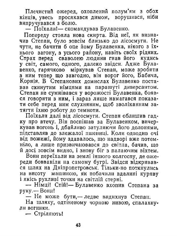 Анатолий Хорунжий - Білі хати по долині - Страница № 43