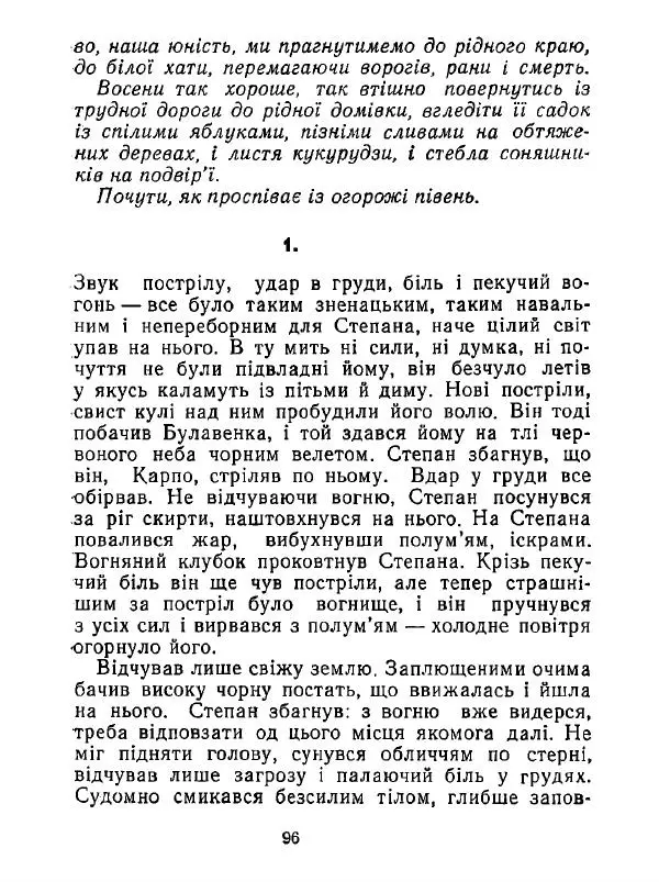 Анатолий Хорунжий - Білі хати по долині - Страница № 96